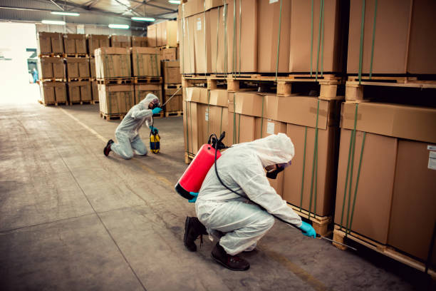 Best Flea Control Services  in Fern Prairie, WA