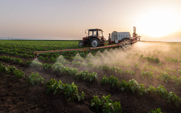Best Best Pest Control Companies  in Fern Prairie, WA