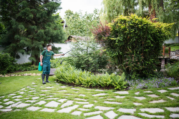 Best Rat Extermination Near Me  in Fern Prairie, WA