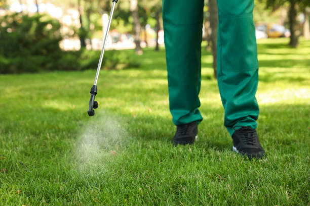 Best Residential Pest Control  in Fern Prairie, WA