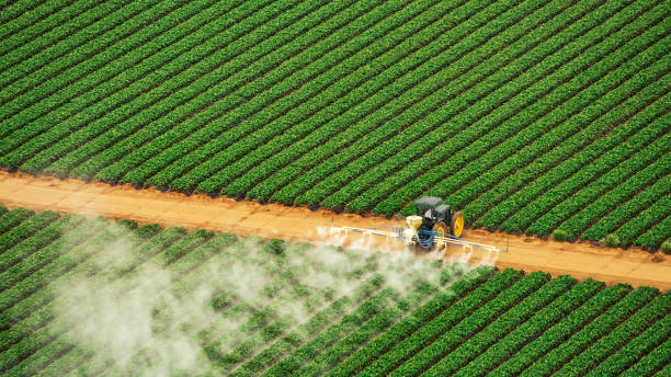 Professional Pest Control in Fern Prairie, WA