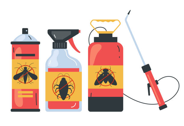 Best Wasp Removal Services  in Fern Prairie, WA